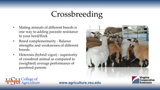 www.agriculture.vsu.edu
Crossbreeding
• Mating animals of different breeds is
one way to adding parasite resistance
to you...