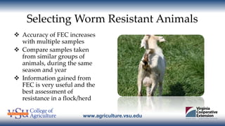 www.agriculture.vsu.edu
Selecting Worm Resistant Animals
 Accuracy of FEC increases
with multiple samples
 Compare sampl...