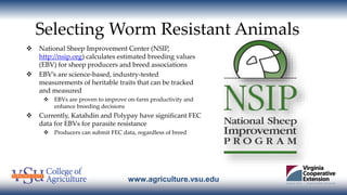 www.agriculture.vsu.edu
Selecting Worm Resistant Animals
 National Sheep Improvement Center (NSIP,
http://nsip.org) calcu...