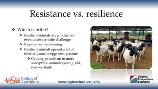 www.agriculture.vsu.edu
Resistance vs. resilience
 Which is better?
 Resilient animals are productive
even under parasit...