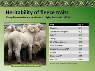Heritability of fleece traits
Sheep fleece traits are moderate to highly heritable (>25%).

                                         Trait                                       Avg. h2
                                         Character                                    0.33
                                         Clean fleece weight*                         0.25
                                         Color *                                      0.45
                                         Crimp*                                       0.45
                                         CV of fiber diameter                         0.50
                                         Fiber diameter*                              0.40
                                         Grease fleece weight*                        0.35
                                         Handle                                       0.33
                                         Staple length*                               0.55
                                         Yield (%)*                                   0.40
                                         *Source: Sheep Production Handbook (2002)
      Rambouillet rams in South Dakota
 