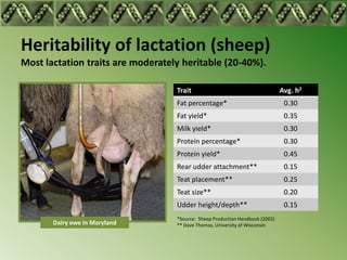 Heritability of lactation (sheep)
Most lactation traits are moderately heritable (20-40%).

                                   Trait                                       Avg. h2
                                   Fat percentage*                              0.30
                                   Fat yield*                                   0.35
                                   Milk yield*                                  0.30
                                   Protein percentage*                          0.30
                                   Protein yield*                               0.45
                                   Rear udder attachment**                      0.15
                                   Teat placement**                             0.25
                                   Teat size**                                  0.20
                                   Udder height/depth**                         0.15
                                   *Source: Sheep Production Handbook (2002)
       Dairy ewe in Maryland       ** Dave Thomas, University of Wisconsin
 