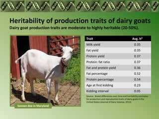 Heritability of production traits of dairy goats
Dairy goat production traits are moderate to highly heritable (20-50%).

                                          Trait                                         Avg. h2
                                          Milk yield                                      0.35
                                          Fat yield                                       0.35
                                          Protein yield                                   0.37
                                          Protein: fat ratio                              0.37
                                          Fat and protein yield                           0.36
                                          Fat percentage                                  0.52
                                          Protein percentage                              0.54
                                          Age at first kidding                            0.23
                                          Kidding interval                                0.05
                                          Source: Breed differences over time and heritability estimates
                                          for production and reproduction traits of dairy goats in the
                                          United States (Journal of Dairy Science, 2012).
    Sannen doe in Maryland
 