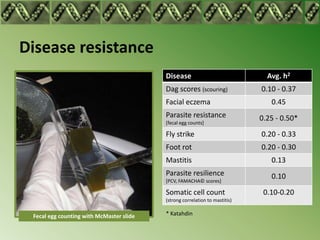 Disease resistance
                                          Disease                              Avg. h2
                                          Dag scores (scouring)              0.10 - 0.37
                                          Facial eczema                         0.45
                                          Parasite resistance                0.25 - 0.50*
                                          [fecal egg counts]

                                          Fly strike                         0.20 - 0.33
                                          Foot rot                           0.20 - 0.30
                                          Mastitis                              0.13
                                          Parasite resilience                   0.10
                                          [PCV, FAMACHA© scores]

                                          Somatic cell count                  0.10-0.20
                                          (strong correlation to mastitis)


 Fecal egg counting with McMaster slide   * Katahdin
 