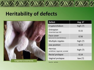 Heritability of defects
                               Defect                          Avg. h2
                               Cryptorchidism                  high (?)
                               Entropion                        0.15
                               (inverted eye lid)
                               Face cover                       0.56
                               (precursor to wool blindness)

                               Multiple nipples                high (?)
                               Jaw position                     0.13
                               Hernias                         high (?)
                               umbilical, inguinal, scrotal
                               Rectal prolapse                  0.14
                               Vaginal prolapse                low (?)
   Congenital scrotal hernia
                               Source: various
 