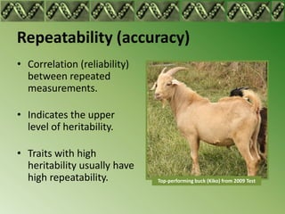 Repeatability (accuracy)
• Correlation (reliability)
  between repeated
  measurements.

• Indicates the upper
  level of heritability.

• Traits with high
  heritability usually have
  high repeatability.         Top-performing buck (Kiko) from 2009 Test
 