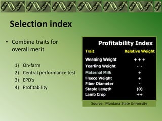 Selection index
• Combine traits for
  overall merit

   1)   On-farm
   2)   Central performance test
   3)   EPD’s
   4)   Profitability


                                   Source: Montana State University
 