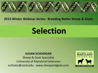 2013 Winter Webinar Series: Breeding Better Sheep & Goats


                 Selection

              SUSAN SCHOENIAN
            Sheep & Goat Specialist
        University of Maryland Extension
  sschoen@umd.edu - www.sheepandgoat.com
 