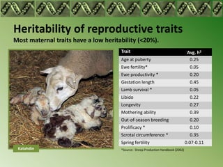 Heritability of reproductive traits
Most maternal traits have a low heritability (<20%).
                                 ...