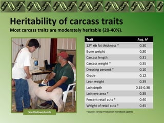 Heritability of carcass traits
Most carcass traits are moderately heritable (20-40%).
                                    ...