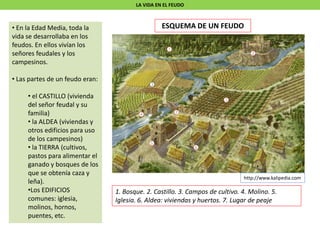 LA VIDA EN EL FEUDO
• En la Edad Media, toda la
vida se desarrollaba en los
feudos. En ellos vivían los
señores feudales y los
campesinos.
• Las partes de un feudo eran:
• el CASTILLO (vivienda
del señor feudal y su
familia)
• la ALDEA (viviendas y
otros edificios para uso
de los campesinos)
• la TIERRA (cultivos,
pastos para alimentar el
ganado y bosques de los
que se obtenía caza y
leña).
•Los EDIFICIOS
comunes: iglesia,
molinos, hornos,
puentes, etc.
ESQUEMA DE UN FEUDO
1. Bosque. 2. Castillo. 3. Campos de cultivo. 4. Molino. 5.
Iglesia. 6. Aldea: viviendas y huertos. 7. Lugar de peaje
http://www.kalipedia.com
 