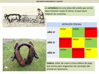 CRECIMIENTO DEMOGRÁFICO Y AGRARIO
ROTACIÓN TRIENAL
AÑO 1º
TRIGO AVENA BARBECHO
AÑO 2º
BARBECHO TRIGO AVENA
AÑO 3º
AVENA BARBECHO TRIGO
La vertedera era una pieza del arado que servía
para remover mejor la tierra, lo que hacía
mejorar las cosechas.
Collera: collar de cuero o lona relleno de paja
que servía para enganchar los correajes del
animal sin lastimarlo.
 