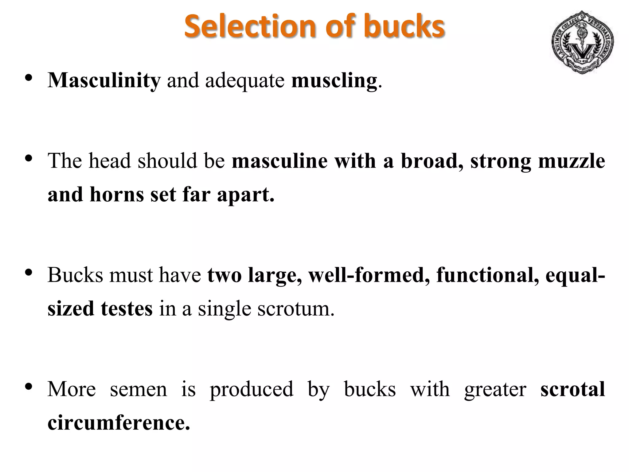 Selection of bucks
• Masculinity and adequate muscling.
• The head should be masculine with a broad, strong muzzle
and horns set far apart.
• Bucks must have two large, well-formed, functional, equal-
sized testes in a single scrotum.
• More semen is produced by bucks with greater scrotal
circumference.
 