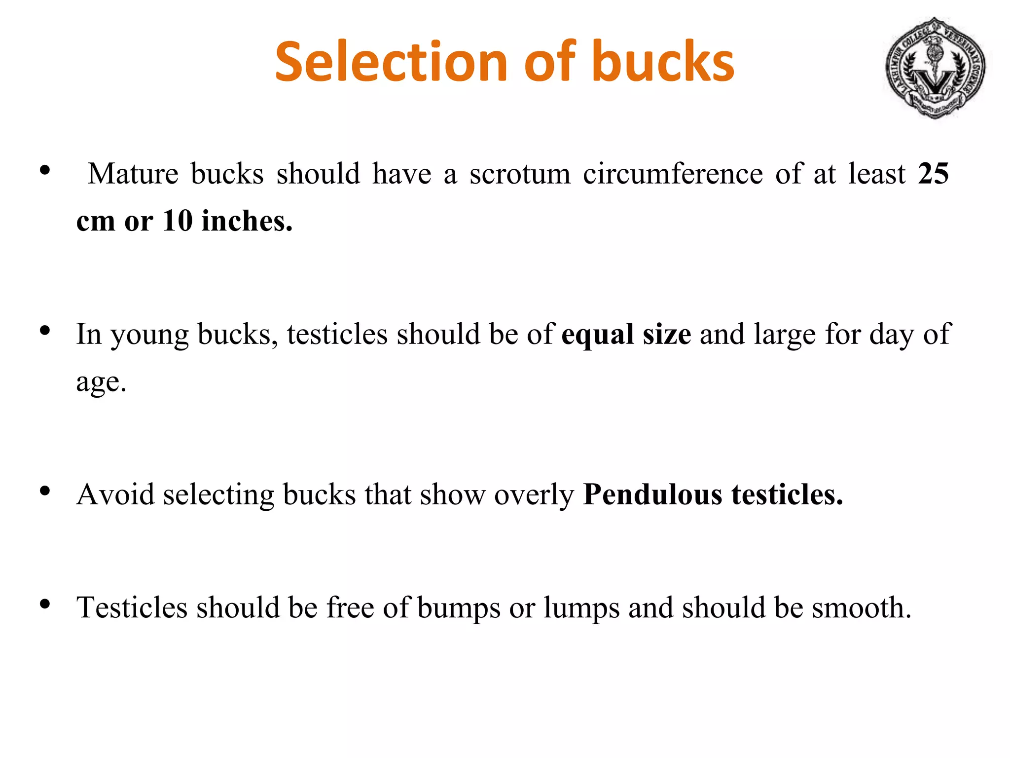 • Mature bucks should have a scrotum circumference of at least 25
cm or 10 inches.
• In young bucks, testicles should be of equal size and large for day of
age.
• Avoid selecting bucks that show overly Pendulous testicles.
• Testicles should be free of bumps or lumps and should be smooth.
Selection of bucks
 
