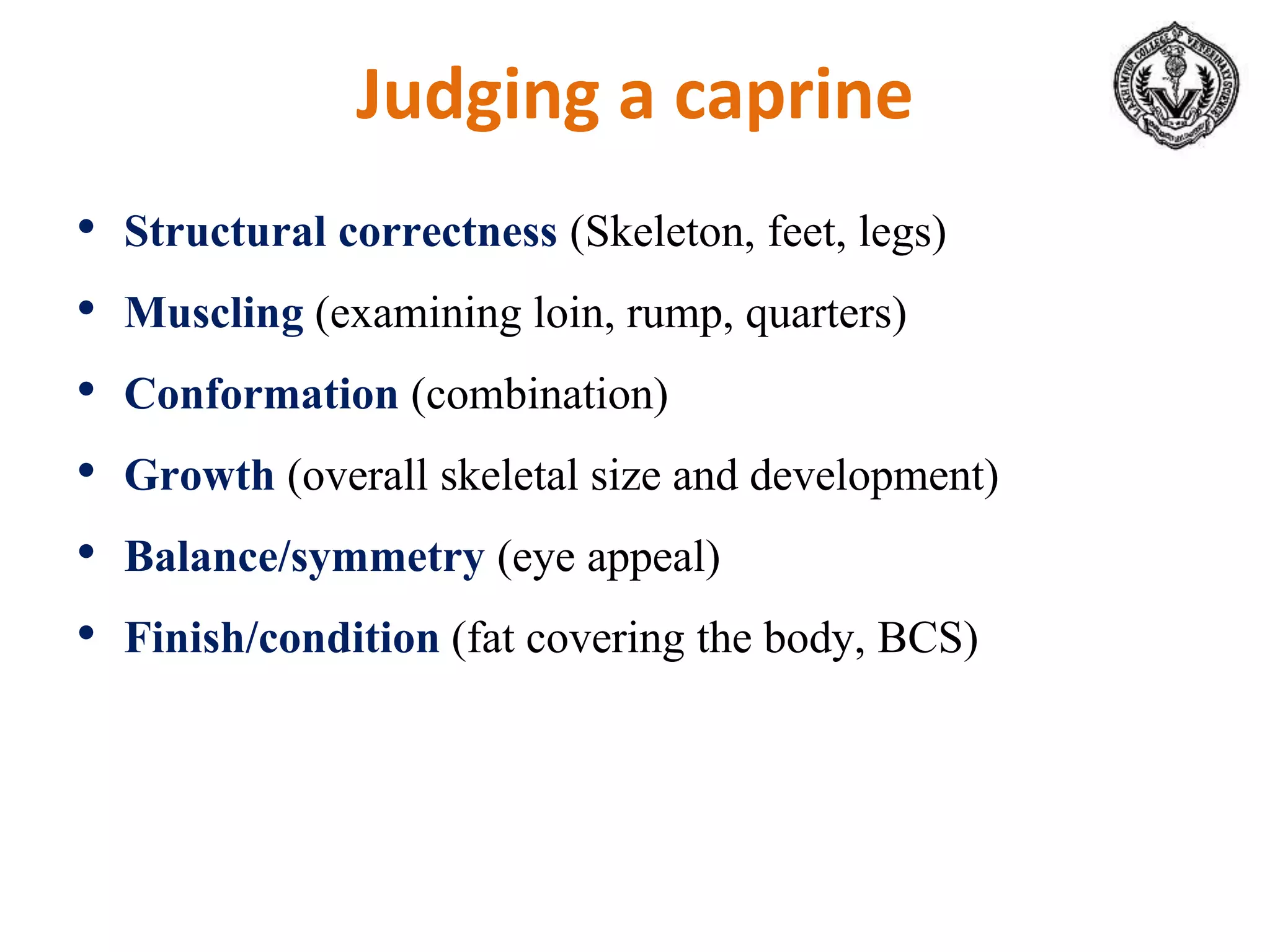 Judging a caprine
• Structural correctness (Skeleton, feet, legs)
• Muscling (examining loin, rump, quarters)
• Conformation (combination)
• Growth (overall skeletal size and development)
• Balance/symmetry (eye appeal)
• Finish/condition (fat covering the body, BCS)
 