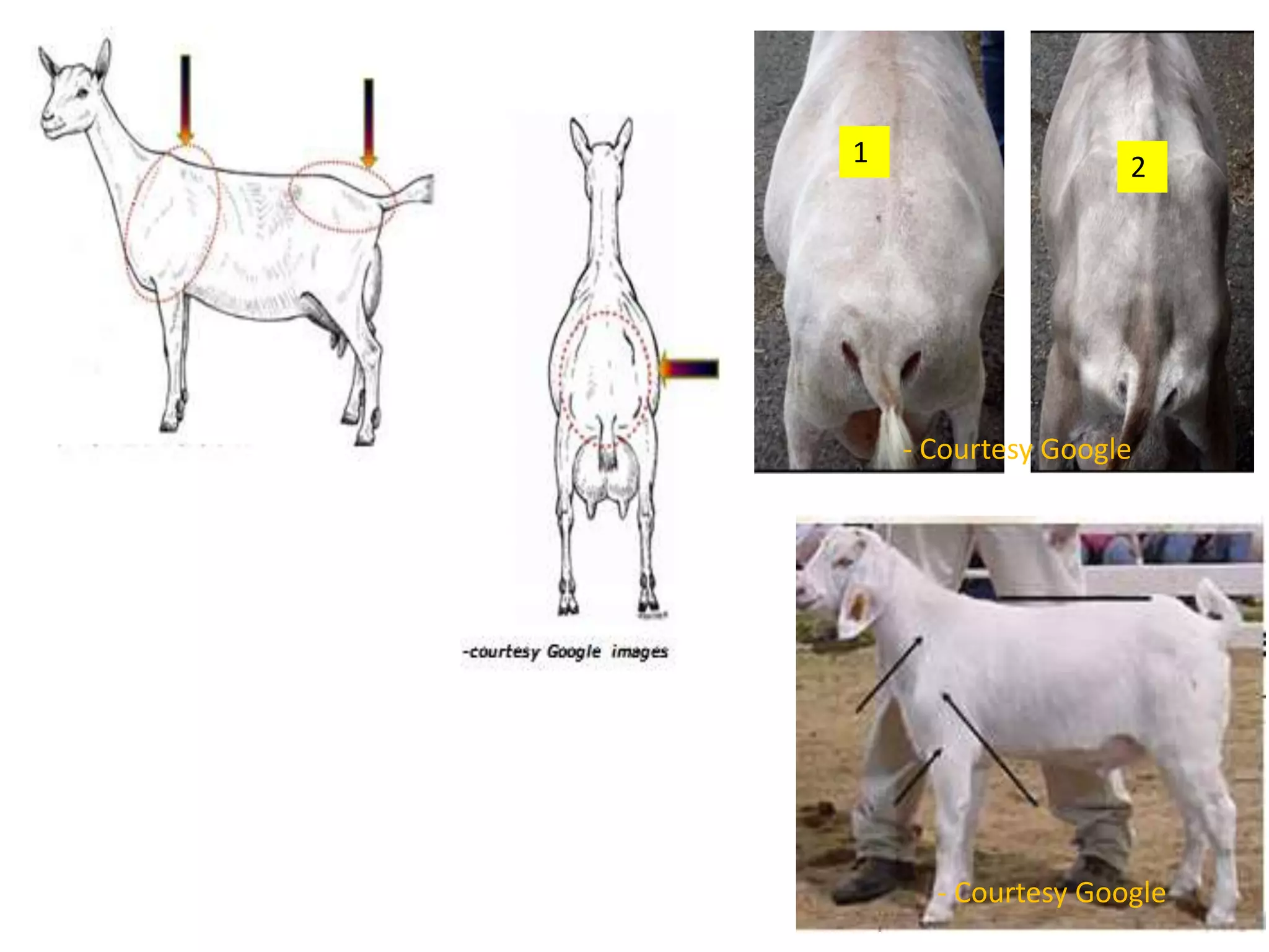 1 2
- Courtesy Google
- Courtesy Google
 