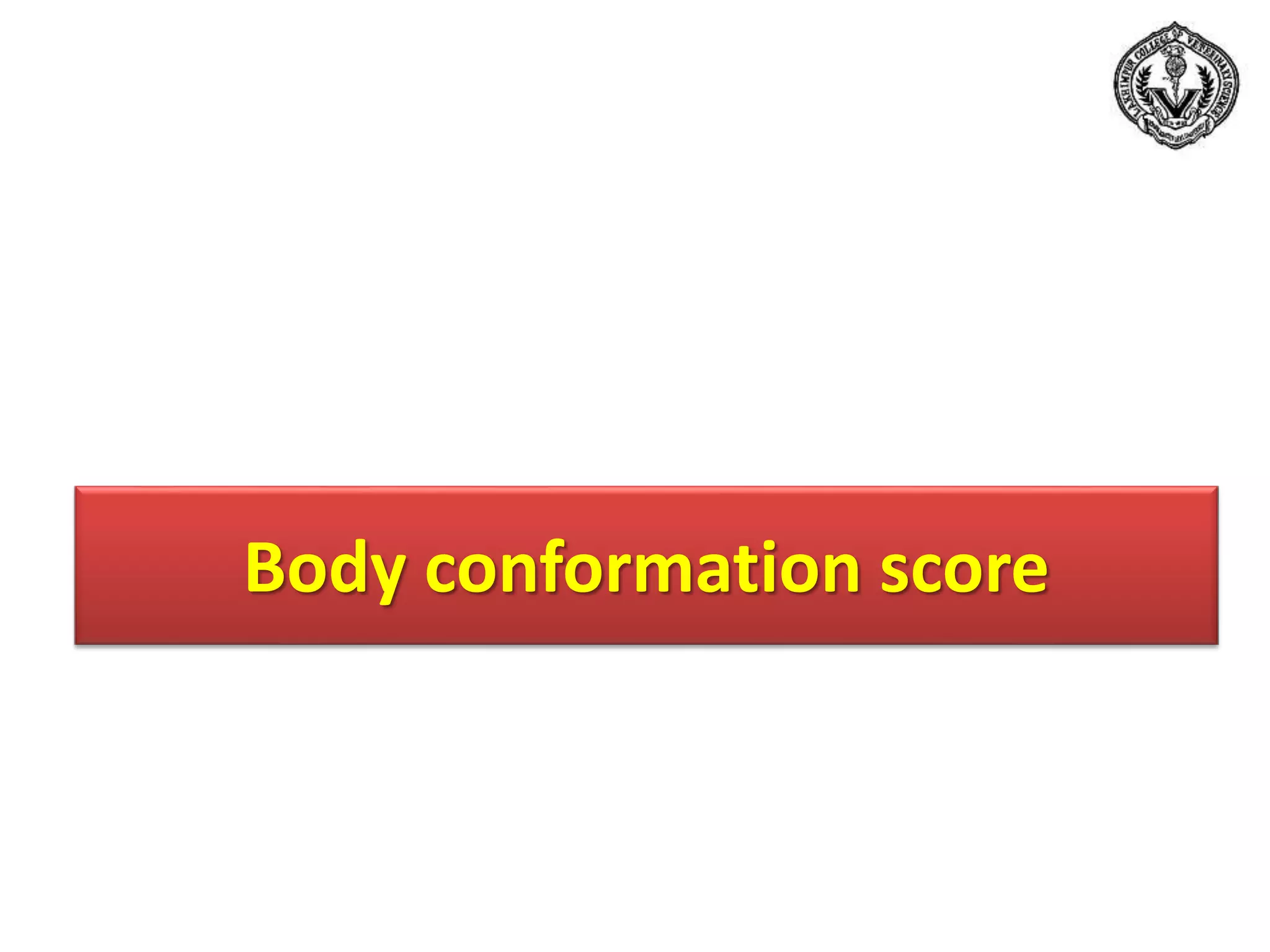Body conformation score
 