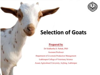 Selection of Goats
Prepared by
Dr Siddhartha S. Pathak, PhD
Assistant Professor
Department of Livestock Production Management
Lakhimpur College of Veterinary Science
Assam Agricultural University, Joyhing, Lakhimpur
 