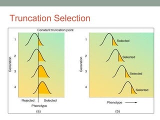 Truncation Selection
 