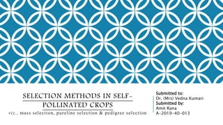 SELECTION METHODS IN SELF-
POLLINATED CROPS
viz., mass selection, pureline selection & pedigree selection
Submitted to:
Dr. (Mrs) Vedna Kumari
Submitted by:
Amit Rana
A-2019-40-013
 