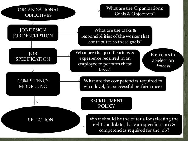 job interview objectives