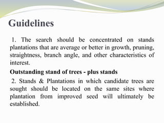 Guidelines
1. The search should be concentrated on stands
plantations that are average or better in growth, pruning,
straightness, branch angle, and other characteristics of
interest.
Outstanding stand of trees - plus stands
2. Stands & Plantations in which candidate trees are
sought should be located on the same sites where
plantation from improved seed will ultimately be
established.
 