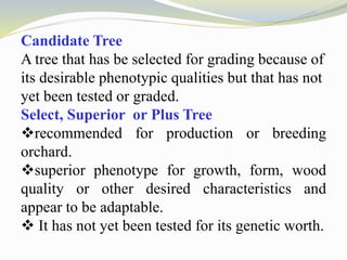 Candidate Tree
A tree that has be selected for grading because of
its desirable phenotypic qualities but that has not
yet been tested or graded.
Select, Superior or Plus Tree
recommended for production or breeding
orchard.
superior phenotype for growth, form, wood
quality or other desired characteristics and
appear to be adaptable.
 It has not yet been tested for its genetic worth.
 