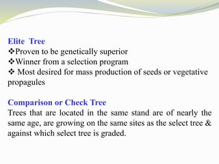 Elite Tree
Proven to be genetically superior
Winner from a selection program
 Most desired for mass production of seeds or vegetative
propagules
Comparison or Check Tree
Trees that are located in the same stand are of nearly the
same age, are growing on the same sites as the select tree &
against which select tree is graded.
 