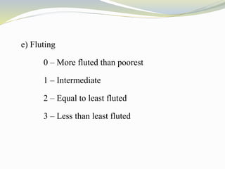 e) Fluting
0 – More fluted than poorest
1 – Intermediate
2 – Equal to least fluted
3 – Less than least fluted
 