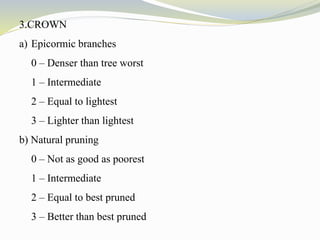 3.CROWN
a) Epicormic branches
0 – Denser than tree worst
1 – Intermediate
2 – Equal to lightest
3 – Lighter than lightest
b) Natural pruning
0 – Not as good as poorest
1 – Intermediate
2 – Equal to best pruned
3 – Better than best pruned
 