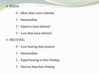 4. PESTS
0 – More than worst infested
1 – Intermediate
2 – Equal to least infested
3 – Less than least infested
5. FRUITING
0 – Less bearing than poorest
1 – Intermediate
2 – Equal bearing to best fruiting
3 – Heavier than best fruiting
 