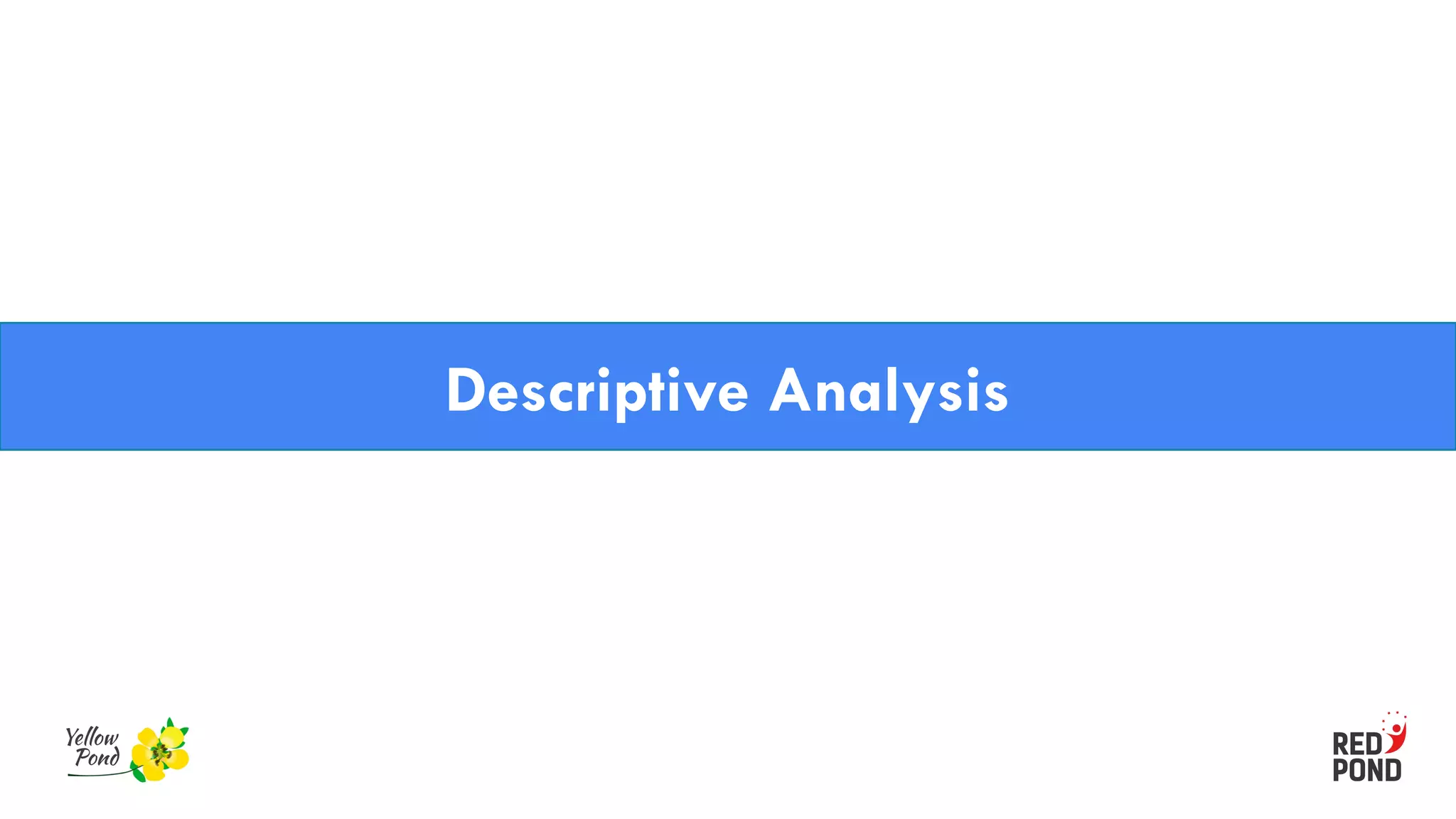 Descriptive Analysis
 