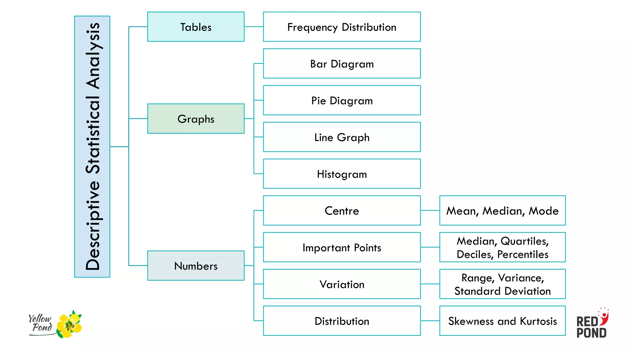 Descriptive
Statistical
Analysis
Tables Frequency Distribution
Graphs
Bar Diagram
Pie Diagram
Line Graph
Histogram
Numbers
Centre Mean, Median, Mode
Important Points
Median, Quartiles,
Deciles, Percentiles
Variation
Range, Variance,
Standard Deviation
Distribution Skewness and Kurtosis
 