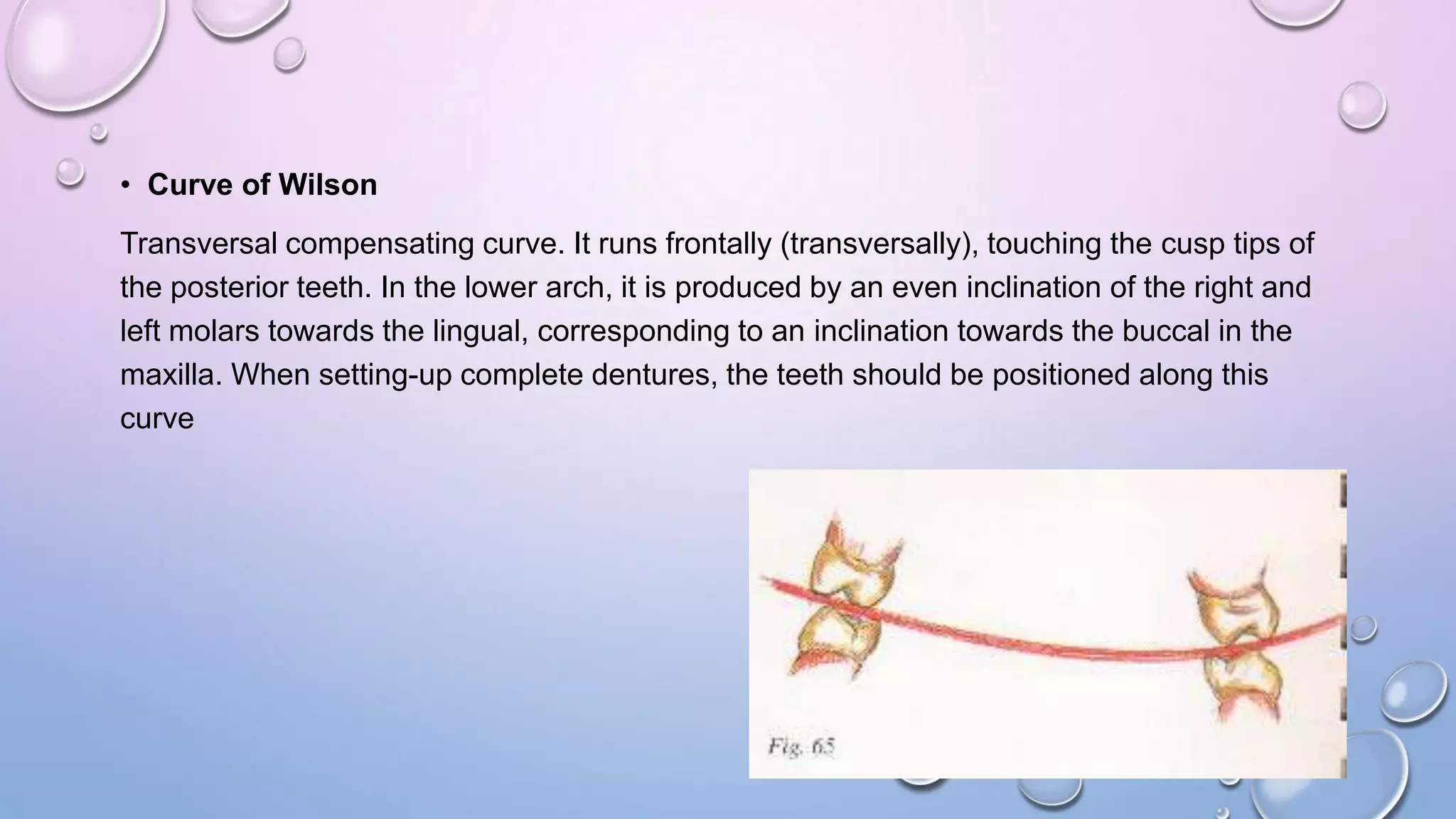 • Curve of Wilson
Transversal compensating curve. It runs frontally (transversally), touching the cusp tips of
the posterior teeth. In the lower arch, it is produced by an even inclination of the right and
left molars towards the lingual, corresponding to an inclination towards the buccal in the
maxilla. When setting-up complete dentures, the teeth should be positioned along this
curve

 