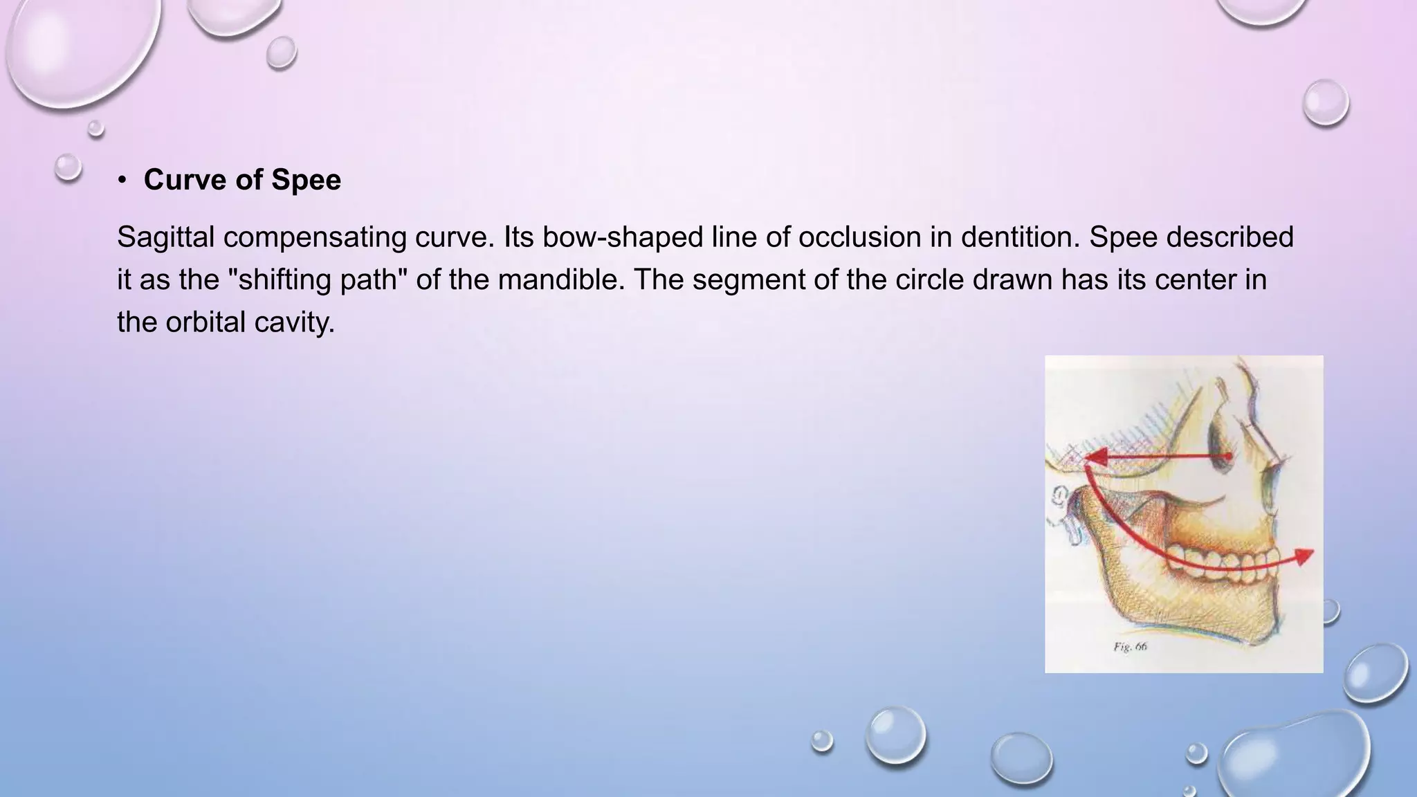• Curve of Spee
Sagittal compensating curve. Its bow-shaped line of occlusion in dentition. Spee described
it as the "shifting path" of the mandible. The segment of the circle drawn has its center in
the orbital cavity.

 