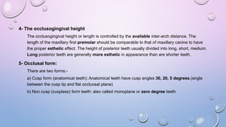 4- The occlusogingival height
The occlusogingival height or length is controlled by the available inter-arch distance. The
length of the maxillary first premolar should be comparable to that of maxillary canine to have
the proper esthetic effect. The height of posterior teeth usually divided into long, short, medium.
Long posterior teeth are generally more esthetic in appearance than are shorter teeth.

5- Occlusal form:
There are two forms:a) Cusp form (anatomical teeth): Anatomical teeth have cusp angles 30, 20, 5 degrees.(angle
between the cusp tip and flat occluosal plane)
b) Non cusp (cuspless) form teeth: also called monoplane or zero degree teeth.

 