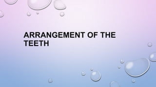 ARRANGEMENT OF THE
TEETH

 