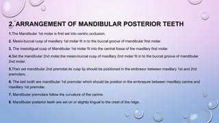 2. ARRANGEMENT OF MANDIBULAR POSTERIOR TEETH
1.The Mandibular 1st molar is first set into centric occlusion.
2. Mesio-buccal cusp of maxillary 1st molar fit in to the buccal groove of mandibular first molar.
3. The mesioligual cusp of Mandibular 1st molar fit into the central fossa of the maxillary first molar.
4.Set the mandibular 2nd molar,the mesio-buccal cusp of maxillary 2nd molar fit in to the buccal groove of mandibular
2nd molar.
5.Then set mandibular 2nd premolar,its cusp tip should be positioned in the embrasur between maxillary 1st and 2nd
premolars.

6. The last tooth are mandibular 1st premolar which should be position in the embrasure between maxillary canine and
maxillary 1st premolar.
7. Mandibular premolars follow the curvature of the canine.
8. Mandibular posterior teeth are set on or slightly lingual to the crest of the ridge.

 