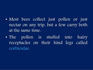 Selection of bee flora.pptx