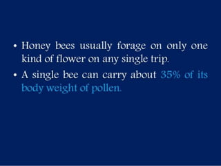 Selection of bee flora.pptx