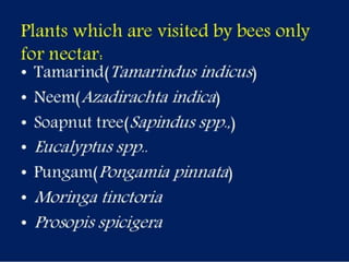 Selection of bee flora.pptx