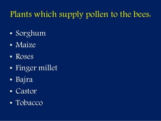 Selection of bee flora.pptx