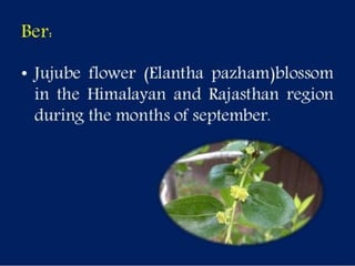 Selection of bee flora.pptx