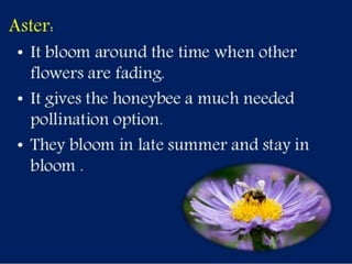 Selection of bee flora.pptx