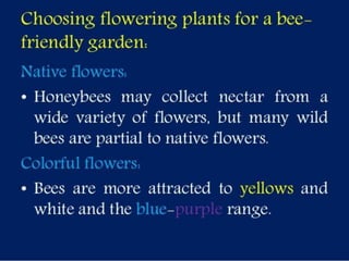 Selection of bee flora.pptx