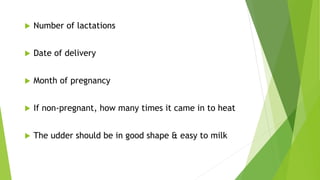  Number of lactations
 Date of delivery
 Month of pregnancy
 If non-pregnant, how many times it came in to heat
 The udder should be in good shape & easy to milk
 