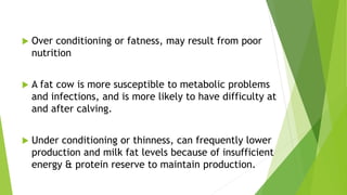  Over conditioning or fatness, may result from poor
nutrition
 A fat cow is more susceptible to metabolic problems
and infections, and is more likely to have difficulty at
and after calving.
 Under conditioning or thinness, can frequently lower
production and milk fat levels because of insufficient
energy & protein reserve to maintain production.
 
