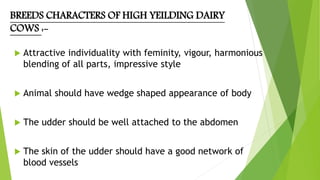 BREEDS CHARACTERS OF HIGH YEILDING DAIRY
COWS :-
 Attractive individuality with feminity, vigour, harmonious
blending of all parts, impressive style
 Animal should have wedge shaped appearance of body
 The udder should be well attached to the abdomen
 The skin of the udder should have a good network of
blood vessels
 