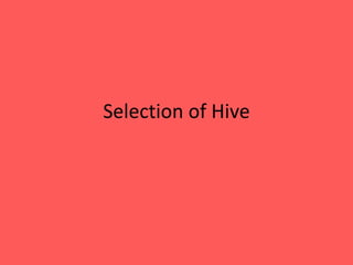 Selection of Hive
 