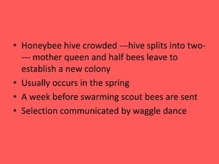 Selection of hive and baiting | PPTX